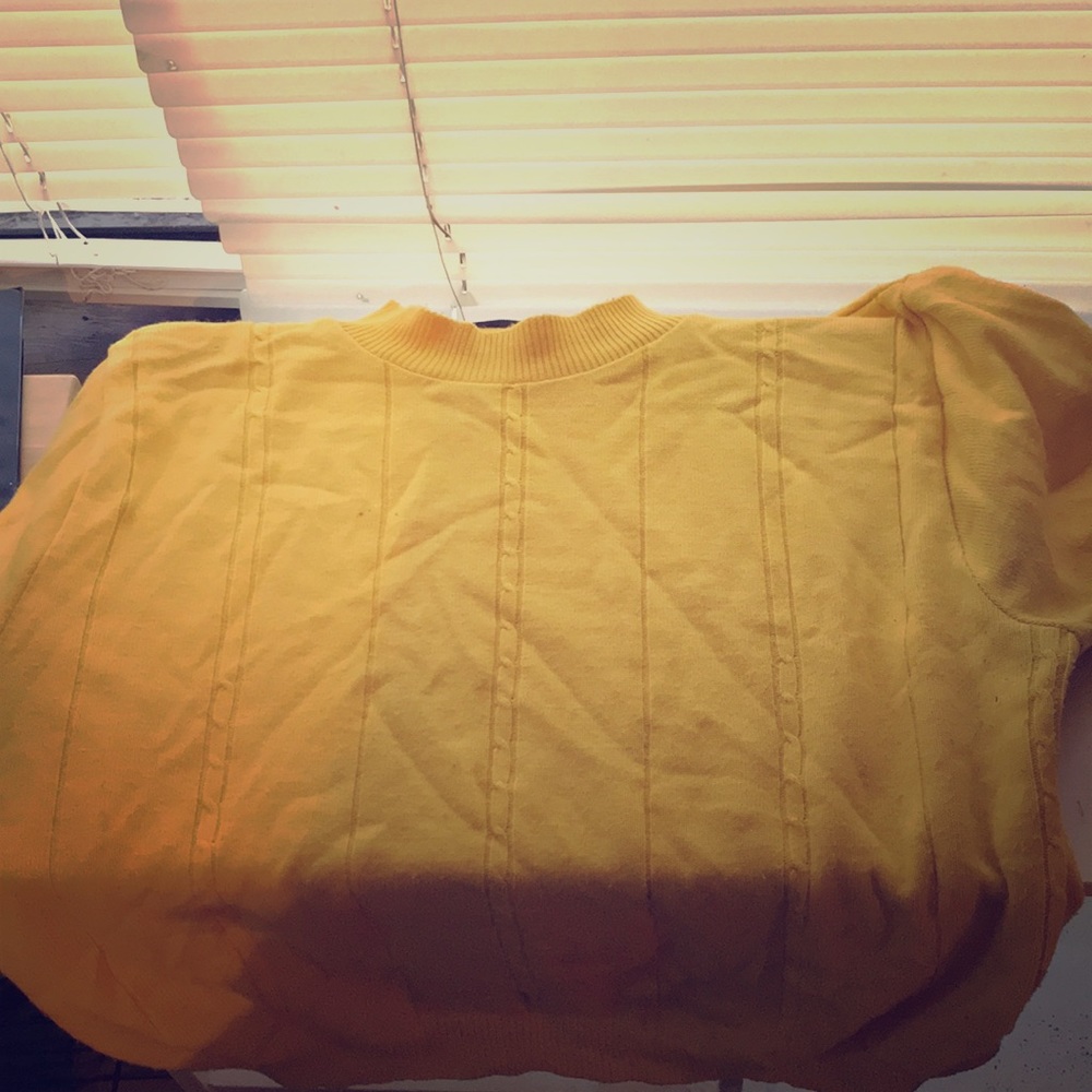 A cropped turtleneck sweater